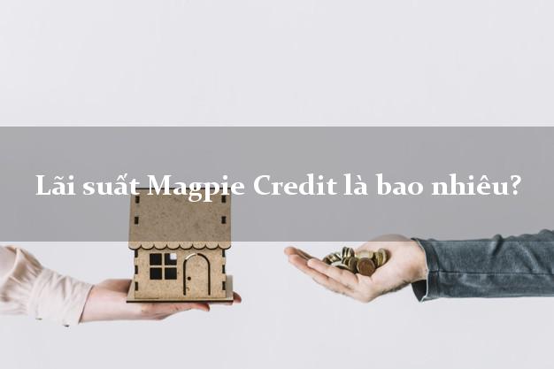 Lãi suất Magpie Credit là bao nhiêu?