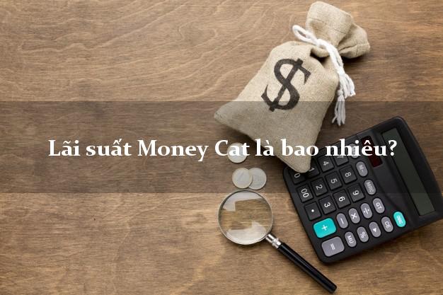 Lãi suất Money Cat là bao nhiêu?